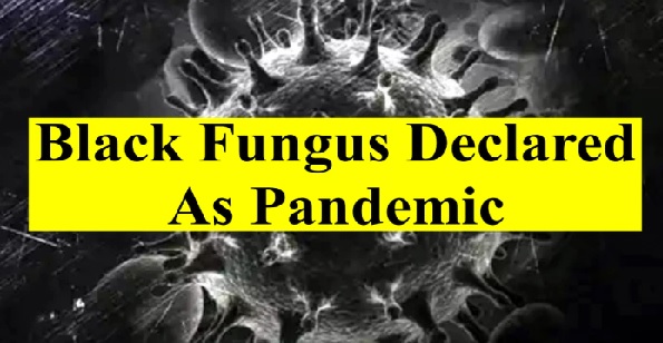 black fungus declear as pandemic