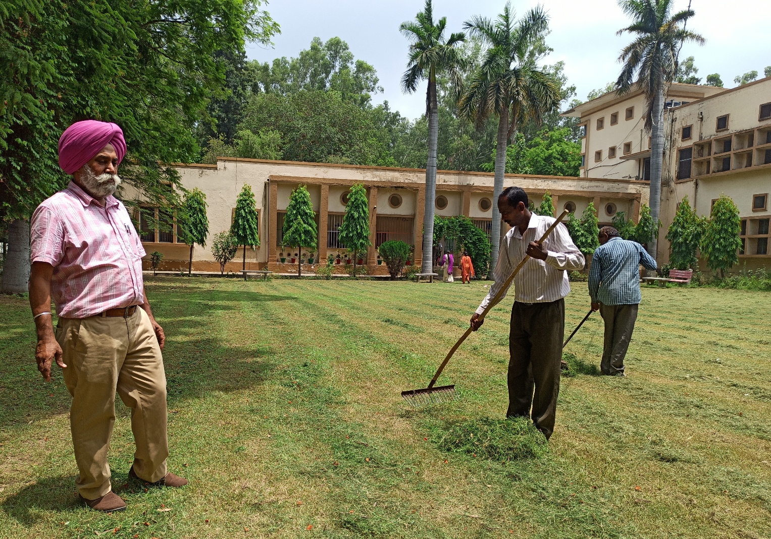 patiala government school