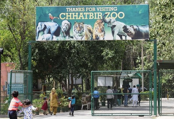 chhatbir zoo