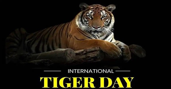 tiger day